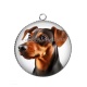 Pendentif Cabochon Argent - chien