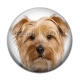 Cabochon Résine - chien