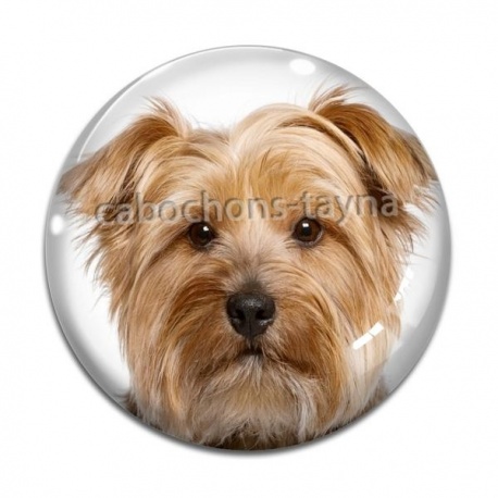 Cabochon Verre - chien