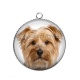 Pendentif Cabochon Argent - chien