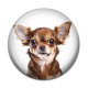 Cabochon Résine - chien