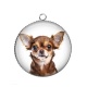Pendentif Cabochon Argent - chien