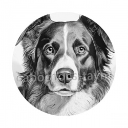 chien