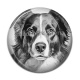 Cabochon Résine - chien