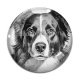 Cabochon Verre - chien