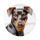 chien