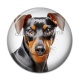 Cabochon Résine - chien