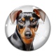 Cabochon Verre - chien