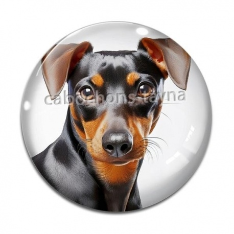 Cabochon Verre - chien
