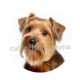 chien
