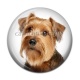 Cabochon Résine - chien