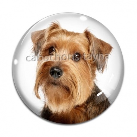 Cabochon Verre - chien