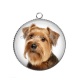 Pendentif Cabochon Argent - chien
