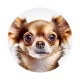 chien