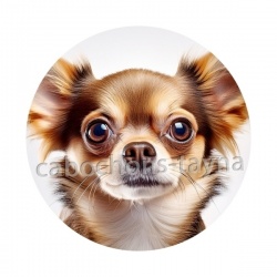 chien