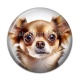 Cabochon Résine - chien
