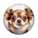 Cabochon Verre - chien