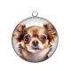 Pendentif Cabochon Argent - chien