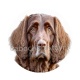 chien