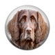 Cabochon Résine - chien