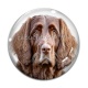 Cabochon Verre - chien