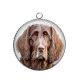 Pendentif Cabochon Argent - chien