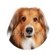 chien