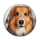 Cabochon Résine - chien