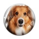 Cabochon Verre - chien
