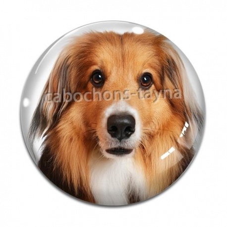 Cabochon Verre - chien