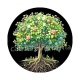 arbre de vie