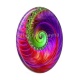 Cabochon Résine Ovale - spirale