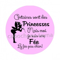 princesse et fée pas chier