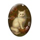 Cabochon Verre Ovale - chat