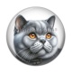 Cabochon Résine - chat