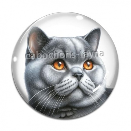 Cabochon Verre - chat