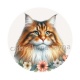 chat