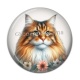 Cabochon Résine - chat