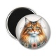 Magnet's - chat