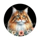 chat