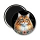 Magnet's - chat