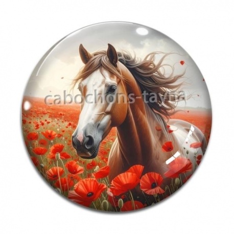 Cabochon Verre - cheval