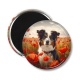 Magnet's - chien