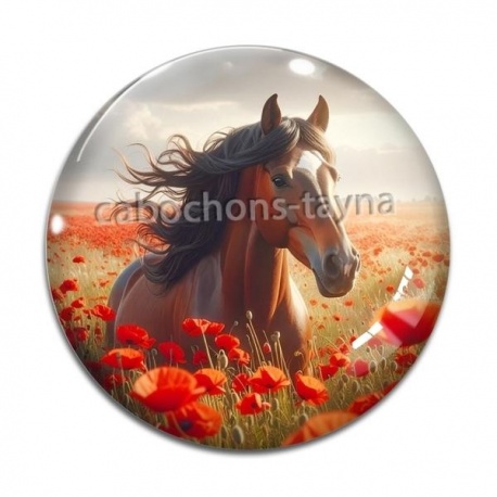 Cabochon Verre - cheval