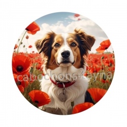 chien