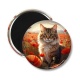 Magnet's - chat