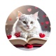  chat livre