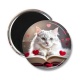 Magnet's -  chat livre