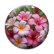 Cabochon Verre - fleur exotique