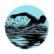 natation